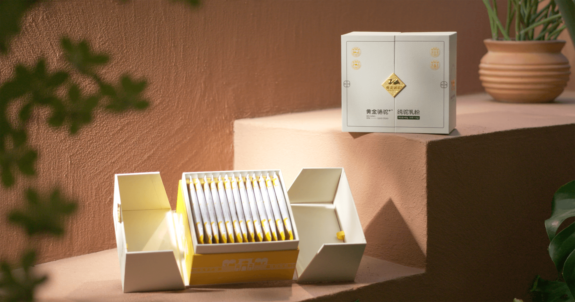 定位小众高端乳粉，尊龙凯时推出驼奶品牌“黄金骆驼+”，角逐乳品新市场！